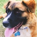 Murphy Powell - @robin18452 - Instagram