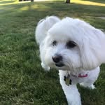 Murphy Powell - @murphy_powell - Instagram