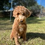 murphy wright - @murphyywright - Instagram