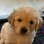 Murphy Wright - @murphys.moments - Instagram