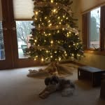 Murphy Wright - @murphy31008 - Instagram