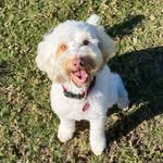 Murphy Wright - @murphy_taloodles - Instagram