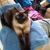 Allen Murray - @allen.murray4 - TikTok