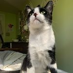 Murray Allen - @furry_murray13 - Instagram