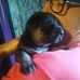 Murray Allen - Facebook
