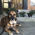 Murray Allen George - @murraygeo - Instagram