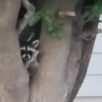 Michelle Murray Bennett - @m.bennett0725 - Instagram