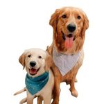 MURRAY & BENNETT - @murrayandbennett - Instagram