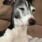 Murray Bennett - @muzzmuff - Instagram