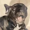 Murray Bennett - @user2507449803483 - TikTok