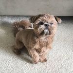 Murray Bennett Tautkus - @murraytautkus - Instagram