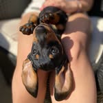 Dotty Chapman-Murray-Black - @littledottydaydream - Instagram