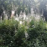 Sarah Murray Bowles - @sarahphotography54 - Instagram