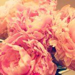 Helen Burton Murray - @helenburtonmurray - Instagram