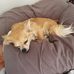 Murray Campbell - Facebook