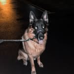 @murraycampbelll009 - Instagram