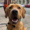 Meet_Murray_Cox - @meet_murray_cox - TikTok