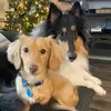 Crosby and Murray - @crosbyandmurray - TikTok