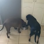 Murray Crosby - @_murray_crosby - Instagram