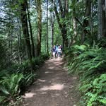 Murray Davidson - @murray.s.davidson - Instagram