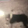 someoneblind - @murray.davidson0 - TikTok