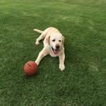 Murray Evans - @murrayevans5 - Instagram