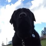 murray farmer - @murrayyfarmeer - Instagram