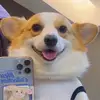 murrayfreemanjohn - @good.dog121 - TikTok