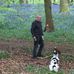 Murray Harrison - Facebook