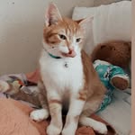 Sir Charles Murray Sky Brooks-Horton - @charlie.sits - Instagram