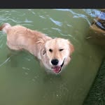 Murray - @murrayhoward7 - Instagram