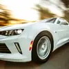 Murray Hunt - @murray.hunt - TikTok