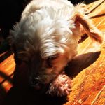 Murray Jacobs - @whatsmyageagainwhatsmyageagain - Instagram