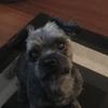 murraykempthorne - @murraykempthorne - TikTok