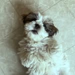 Murray Love - @officialmurraylove - Instagram