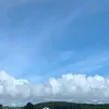 jude.murraymacgregor - @jude.murraymacgregor - TikTok