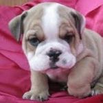 murray moore - @murraymoore5 - Instagram