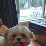 Murray Parsons - Facebook