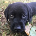 Murray Dawg Price - @murray_dawg_price - Instagram