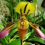 Murray Saunders - @murray.saunders.56 - Instagram