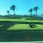 Murray Sim - @murraysim - Instagram