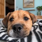 Murray Skinner - @murray_skinner - Instagram