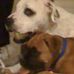 Murray Stein - Facebook