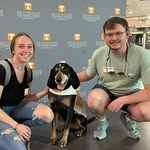 Murray - @murray.stokes - Instagram