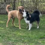 Daisy Wiley - @daisywileymurray - Instagram