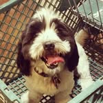 murray witherspoon knecht - @murraywiki - Instagram
