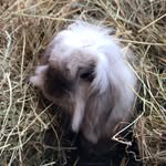 Lilys Life - @lily_wolfe_murray - Instagram