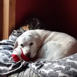 Murray Young - @murray.young.779 - Instagram