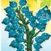 Mursal Sheikh ali - @mursalsheikhali - TikTok