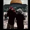 mousa15889Abudy112233445566777 - @musaabed - TikTok